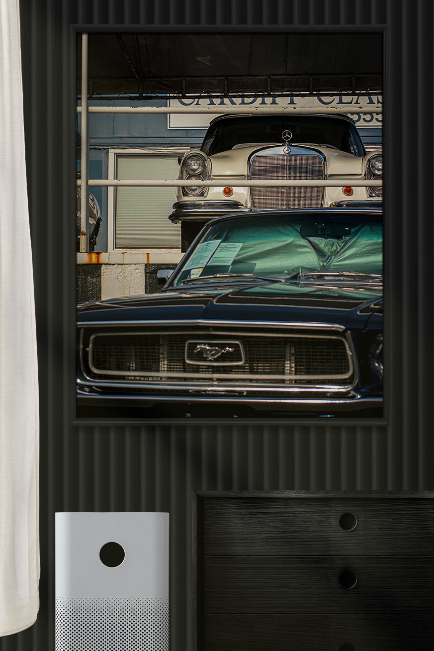 Timeless Vintage Cars Photo