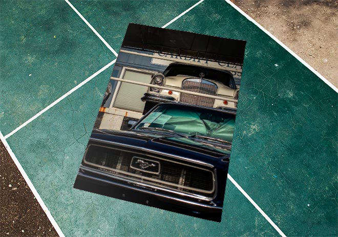 Timeless Vintage Cars Photo