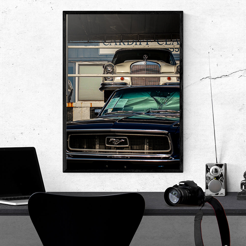 Timeless Vintage Cars Photo