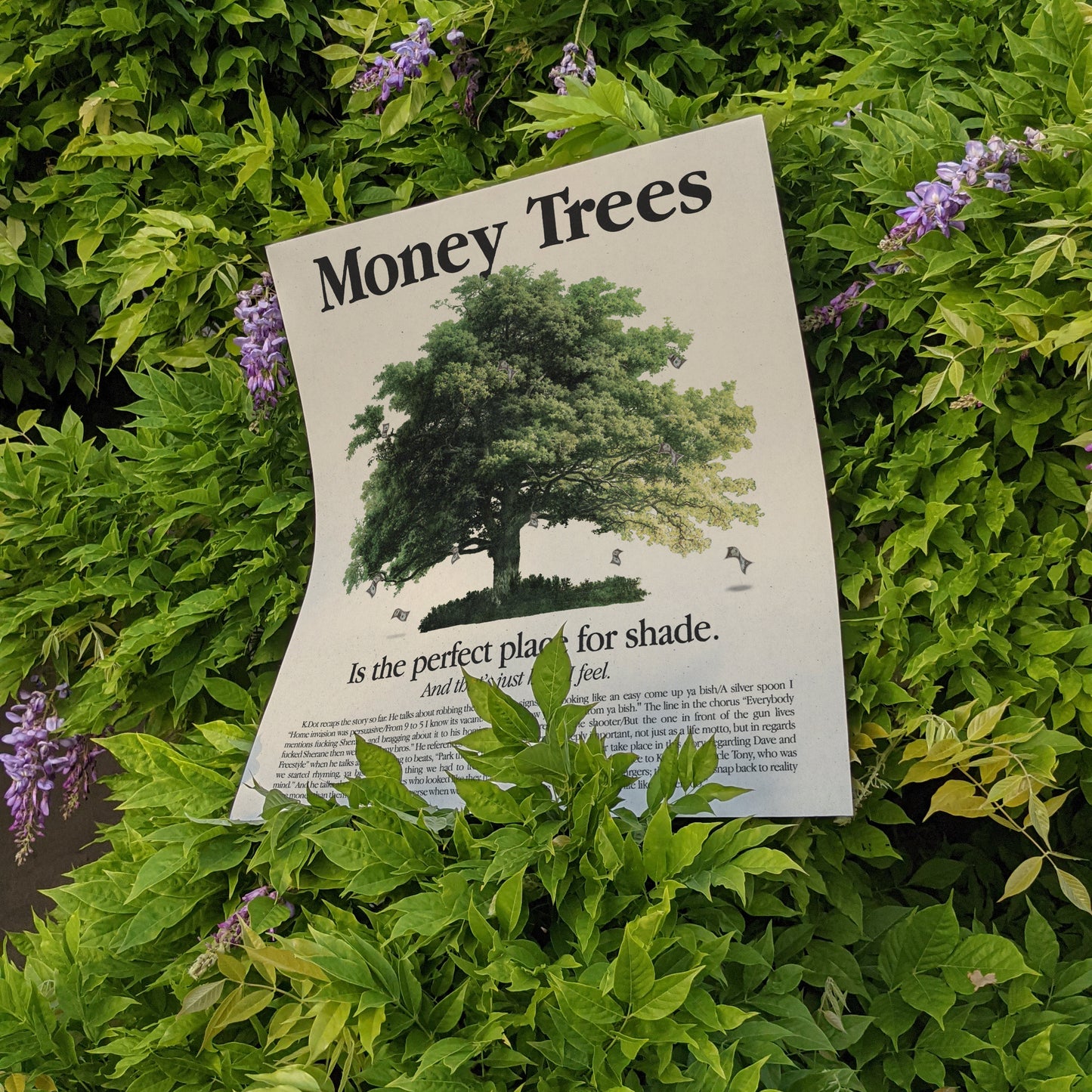 Money Trees Kendrick Lamar Vintage Advertising Poster