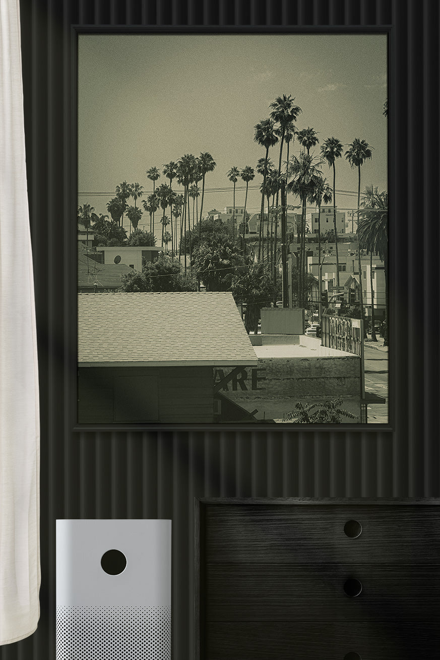 LA Vibes Photo