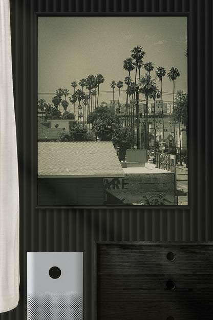 LA Vibes Photo