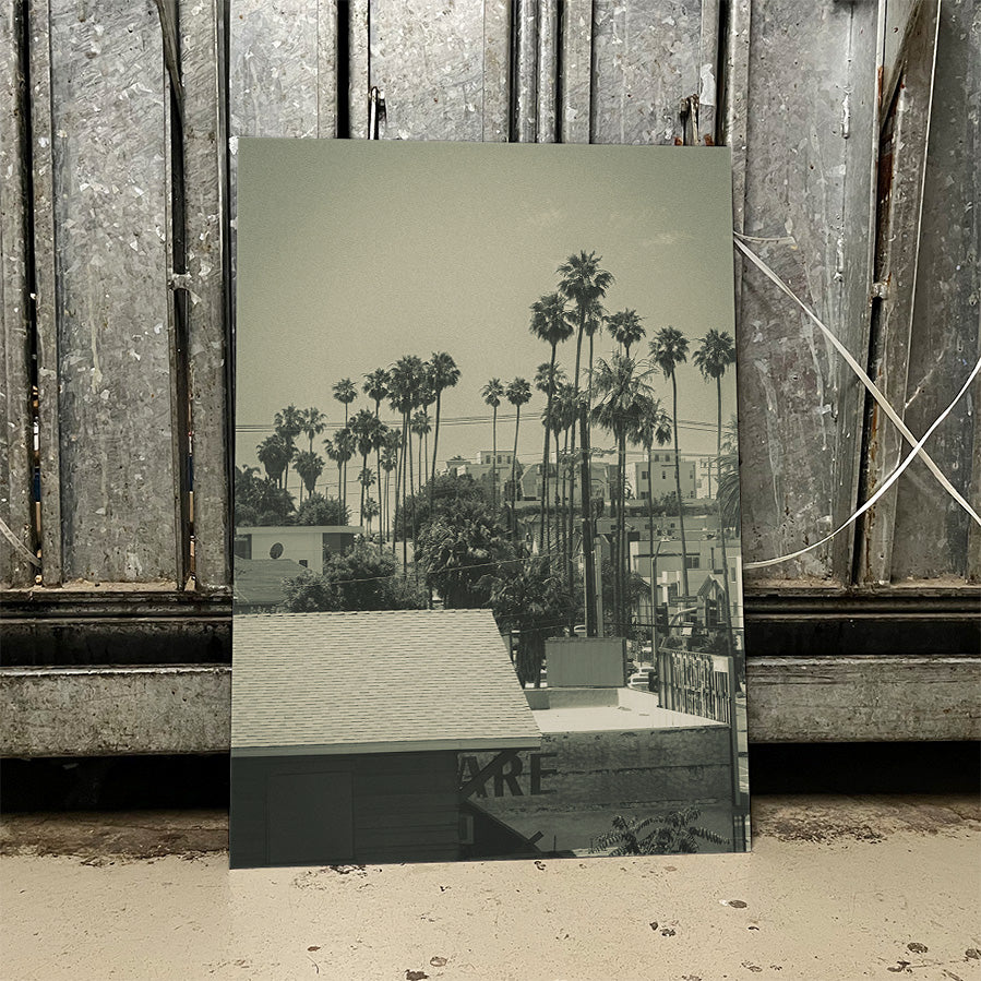 LA Vibes Photo