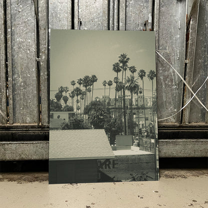 LA Vibes Photo