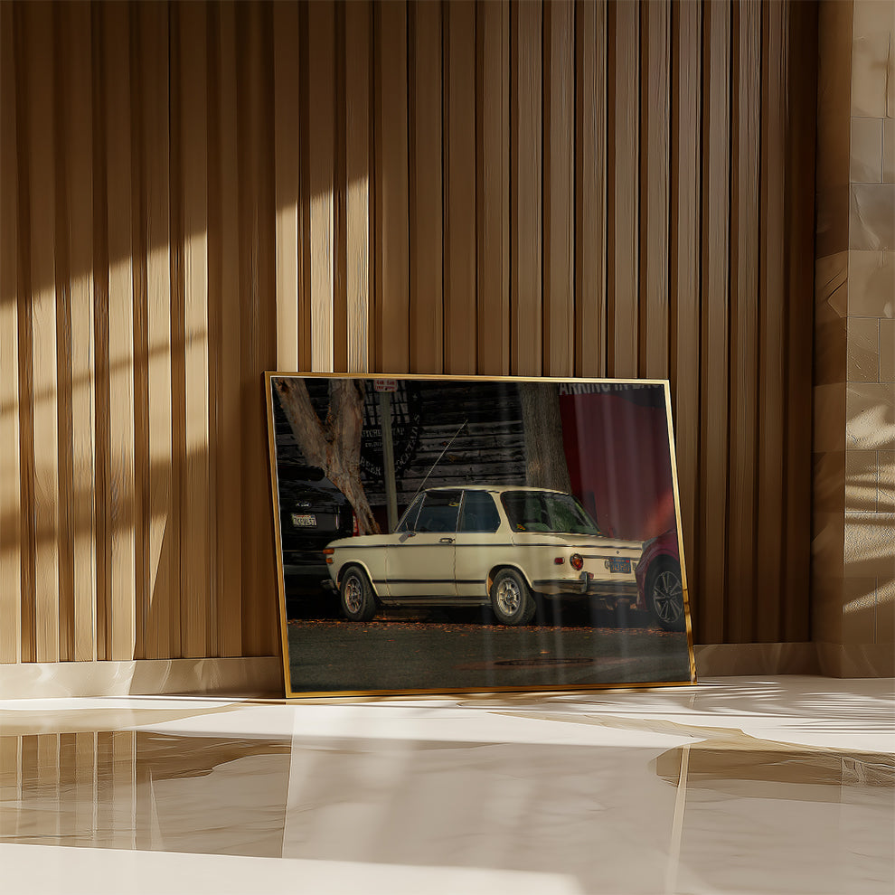 BMW 2002 Street Scene