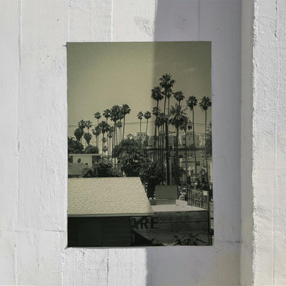 LA Vibes Photo