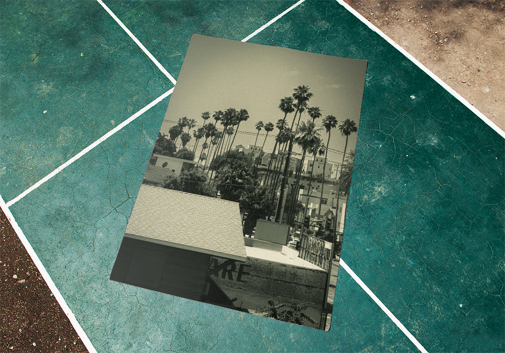 LA Vibes Photo