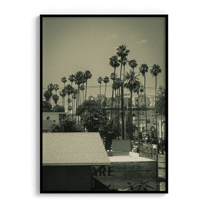 LA Vibes Photo