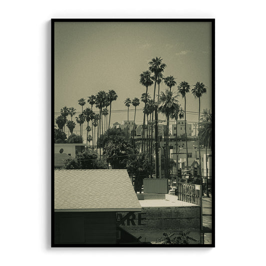 LA Vibes Photo