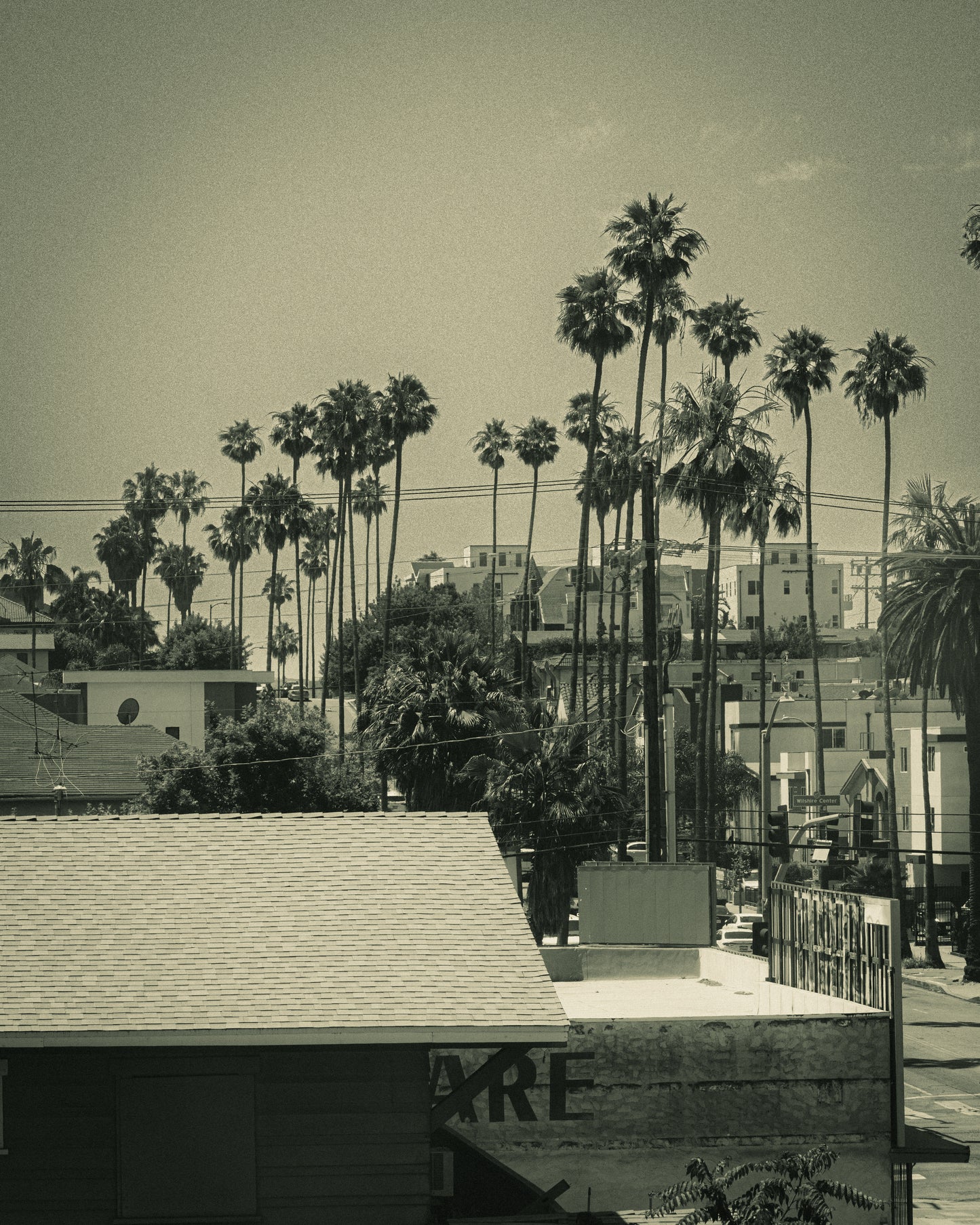 LA Vibes Photo