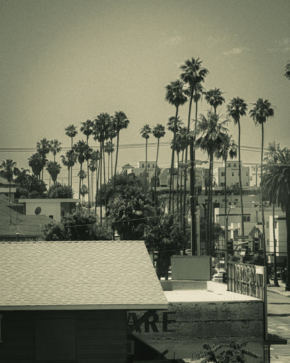 LA Vibes Photo