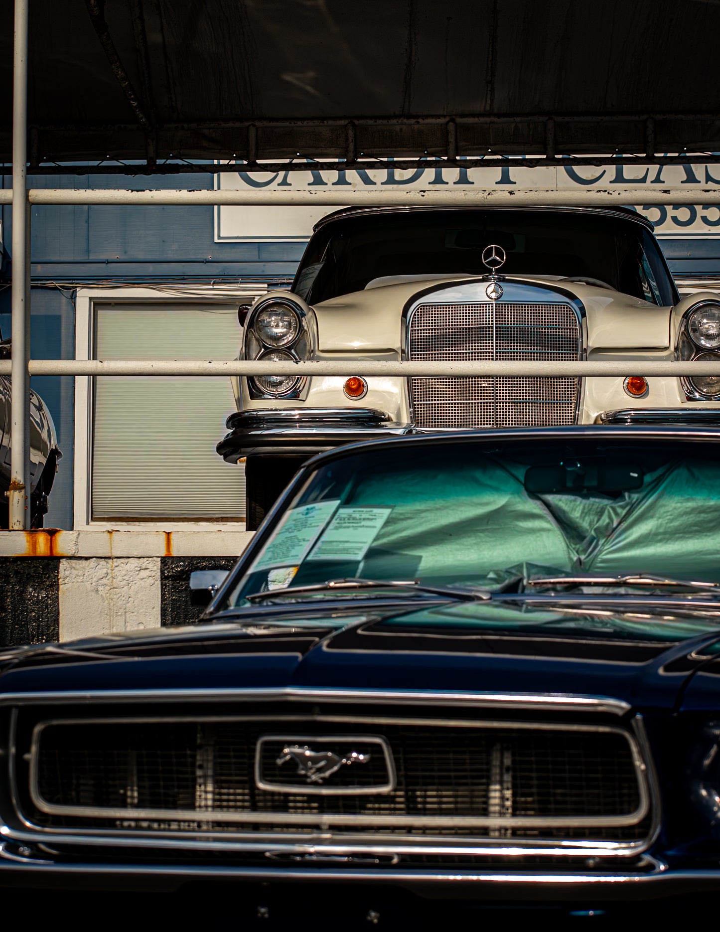 Timeless Vintage Cars Photo
