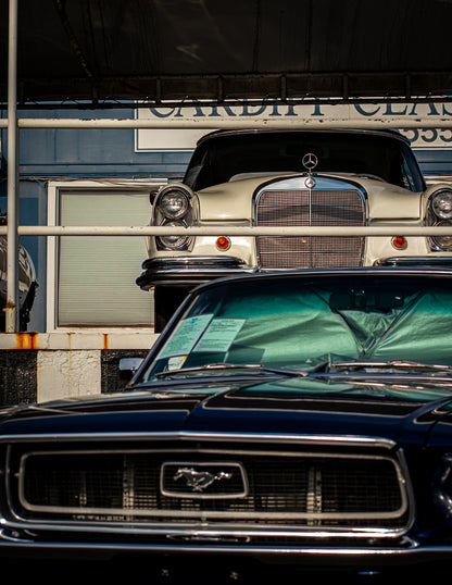 Timeless Vintage Cars Photo