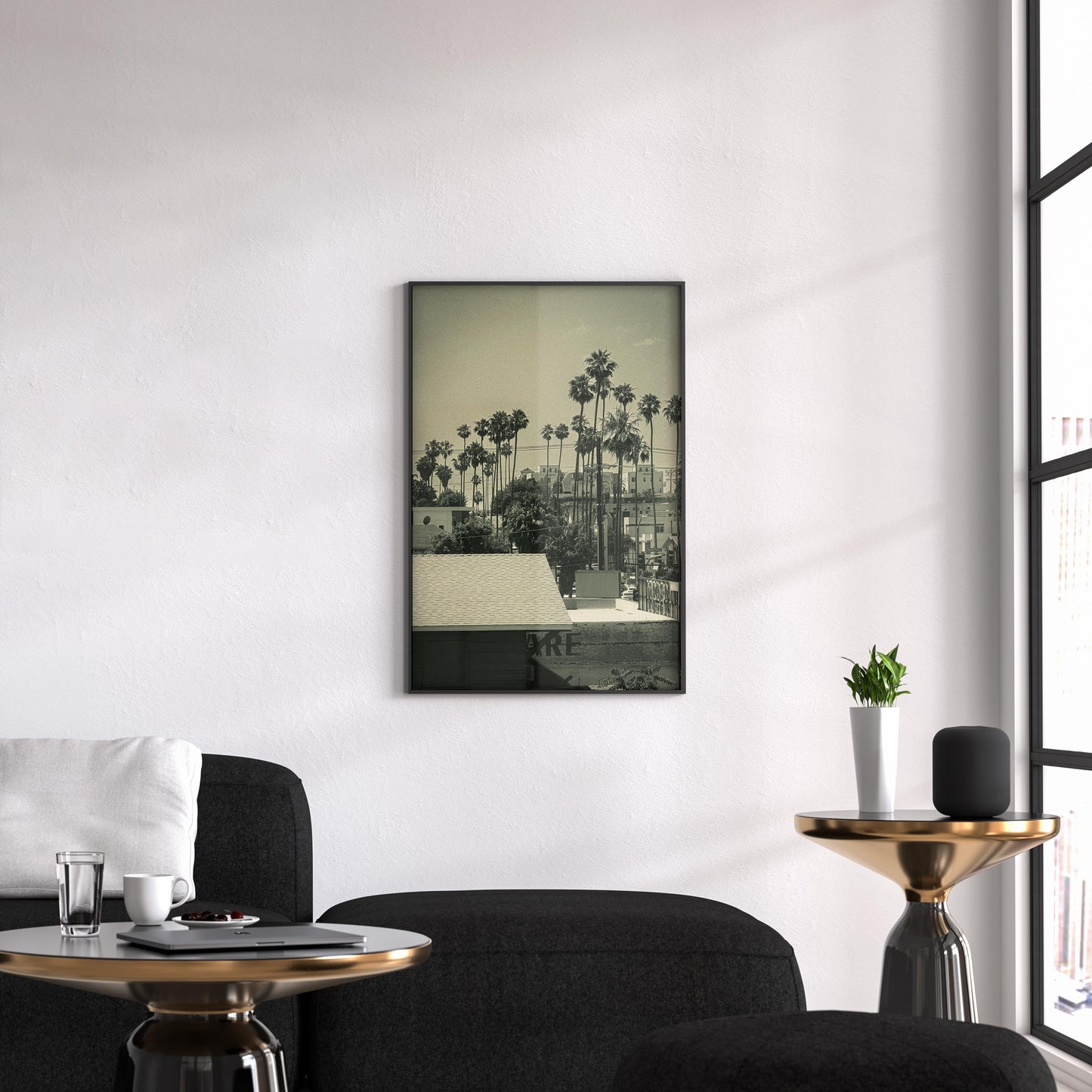 LA Vibes Photo
